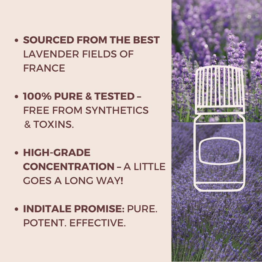 Lavender Essential Oil | Healing & Embracing Aromatherapy