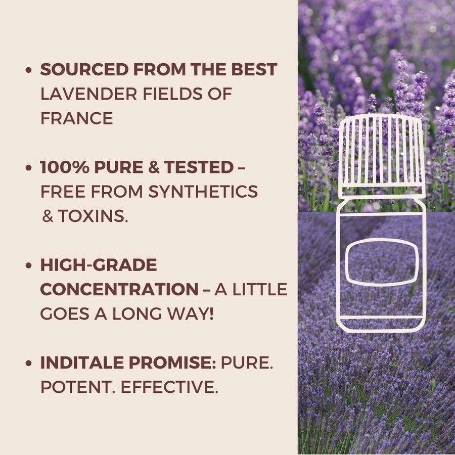 Lavender Essential Oil | Healing & Embracing Aromatherapy