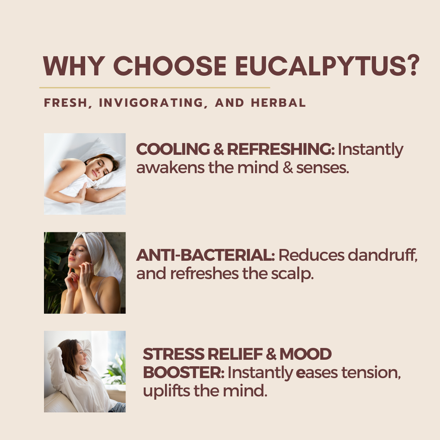 Eucalyptus Essential Oil | Energising & Stimulating Aromatherapy