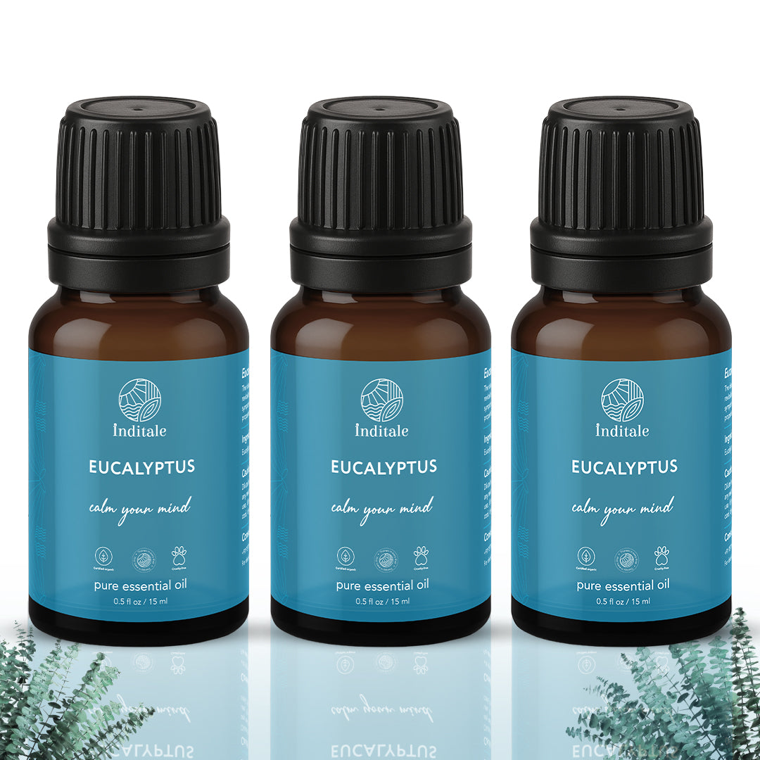 Eucalyptus Essential Oil | Energising & Stimulating Aromatherapy