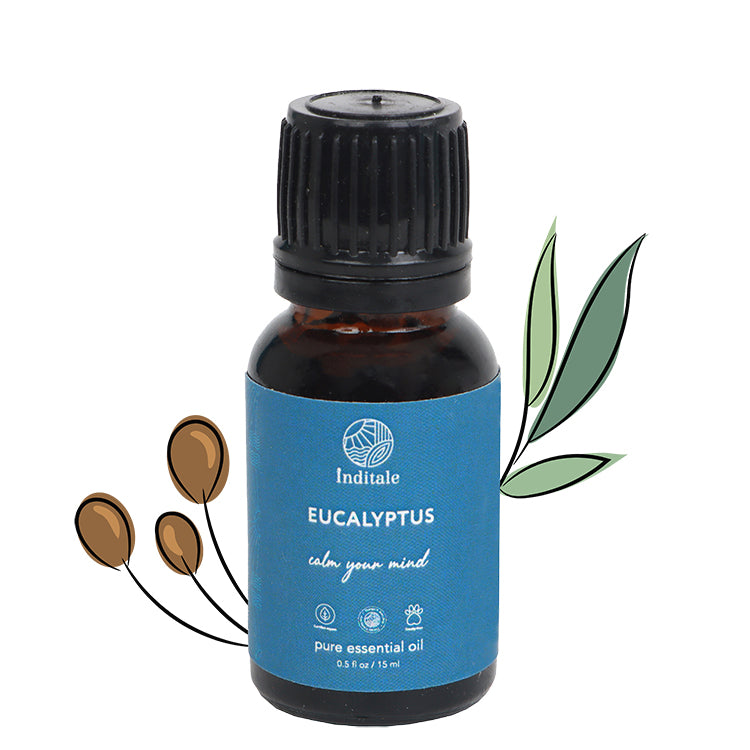 Eucalyptus Essential Oil | Energising & Stimulating Aromatherapy